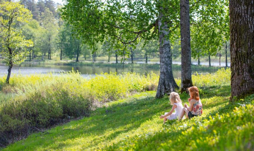 Sustainability-kids-with-nature-how-heat-pumps-works