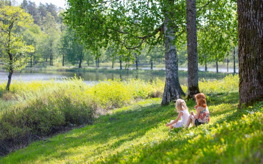 Sustainability-kids-with-nature-how-heat-pumps-works